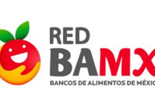 Coordinador de redes sociales y contenido digital 